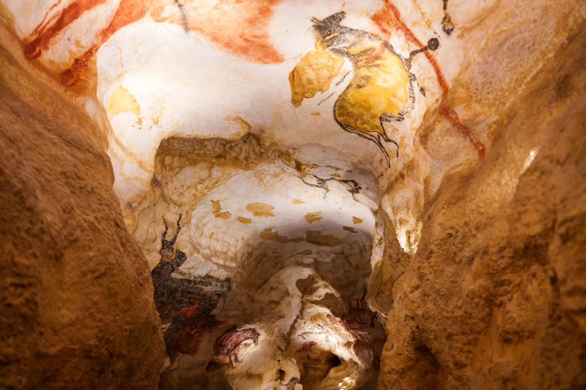 Caves of Lascaux©OT_Vézère_Valley_By_Les_Coflocs