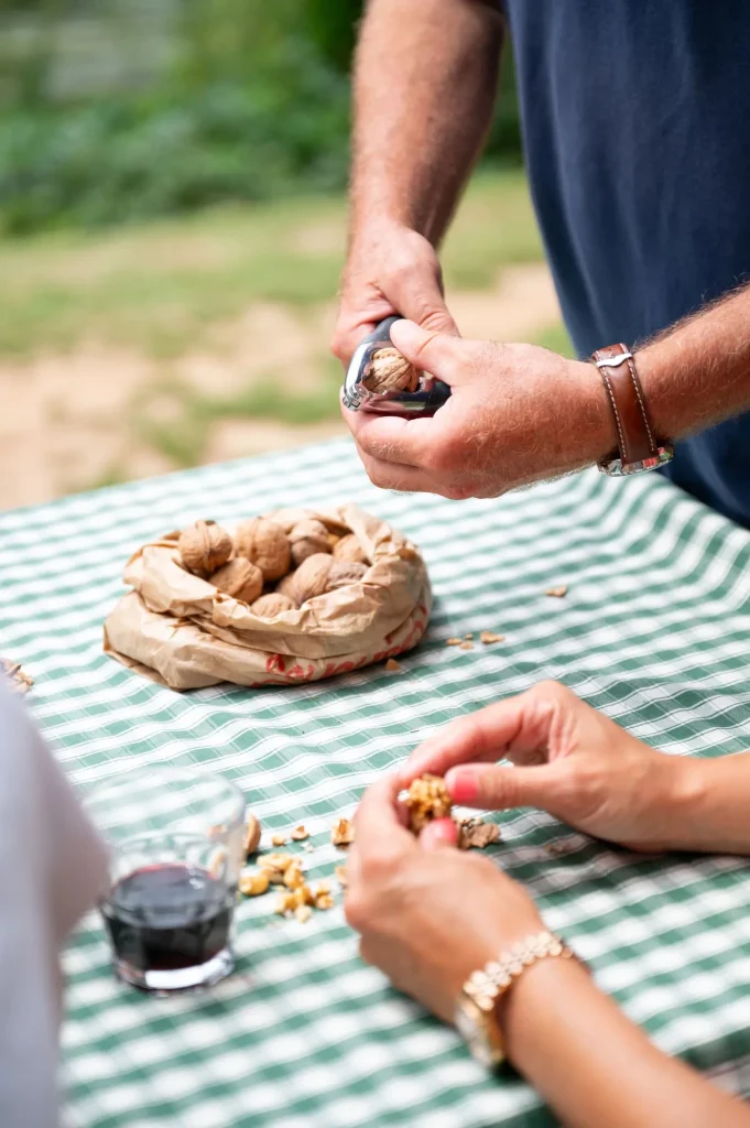 Walnuts at a picnic in Les Eyzies