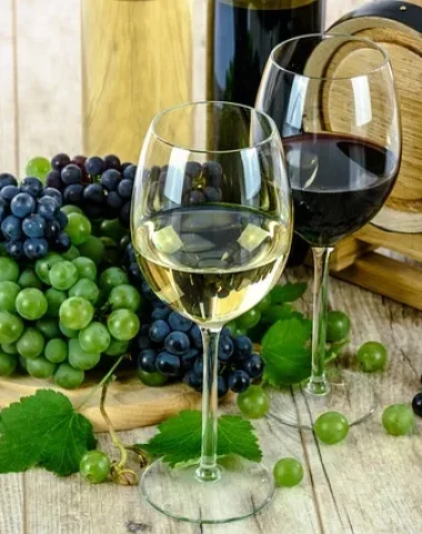 Copas de vino y racimos de uvas - Vino Périgord
