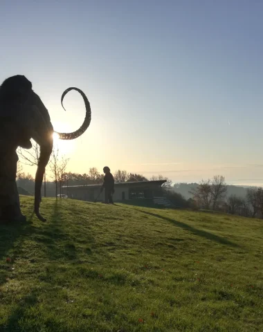 Giant-Audrix-Mammoth-sun-December 2019 (1)