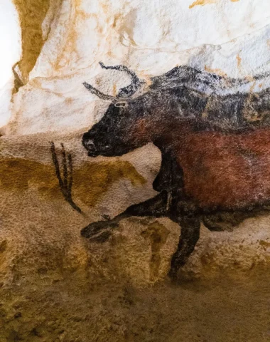 Painting of the Lascaux cave