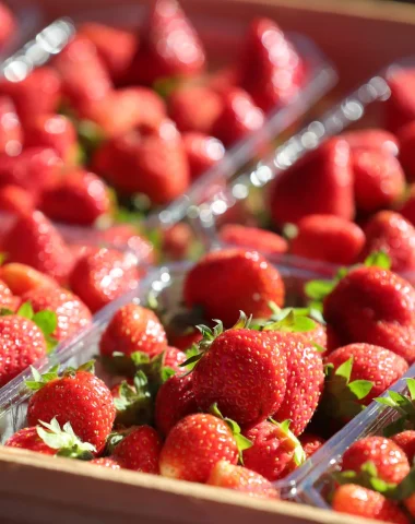 Bugue Market - Périgord Strawberry