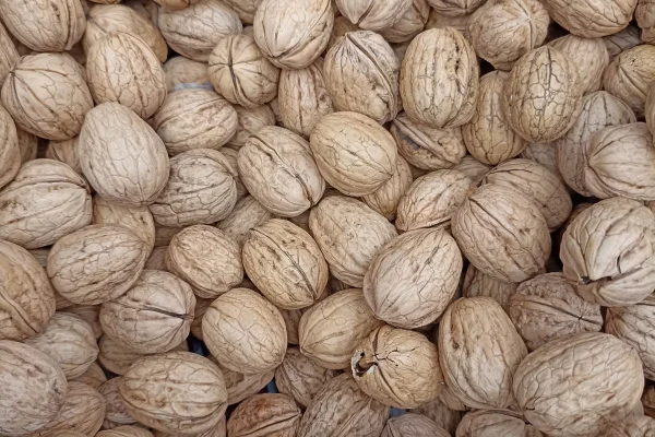 Périgord nuts